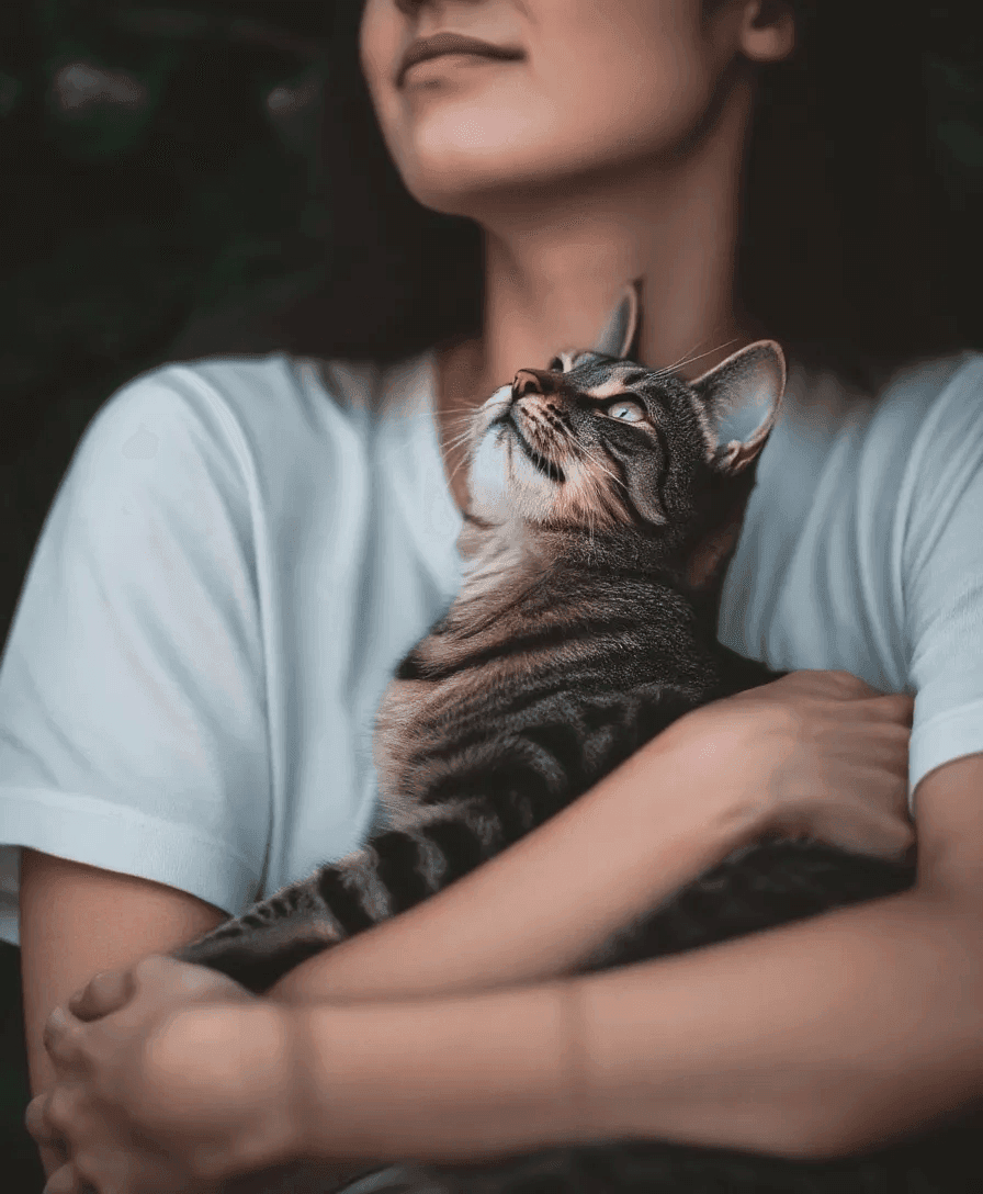 편집본 - 주인의 품에 안긴 고양이